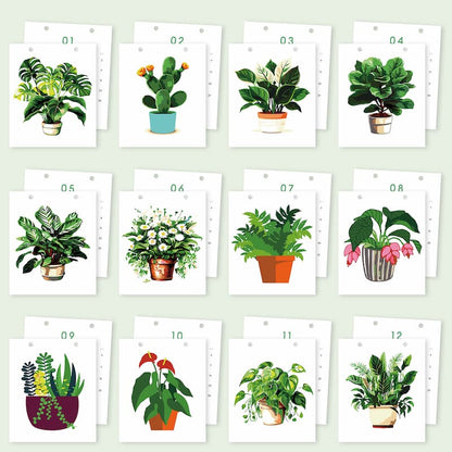Plant Collection Paint by Numbers Calendar
