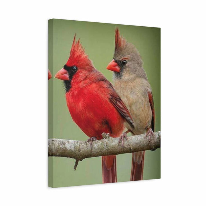 Kit de diamond painting 5D Cardinal Companions montrant deux cardinaux rouges vifs sur une branche avec des diamants en résine étincelants complétés sur une toile adhésive