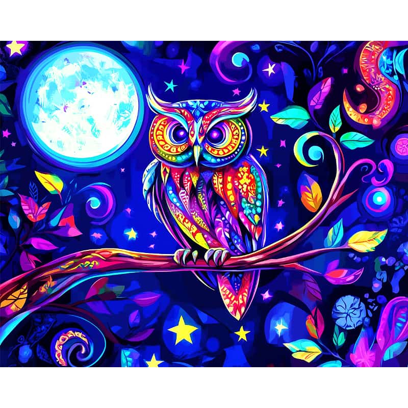 Colorful owl illustration on a dark background with moon and stars