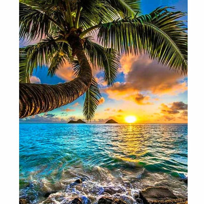 Tropical sunset with palm tree and ocean