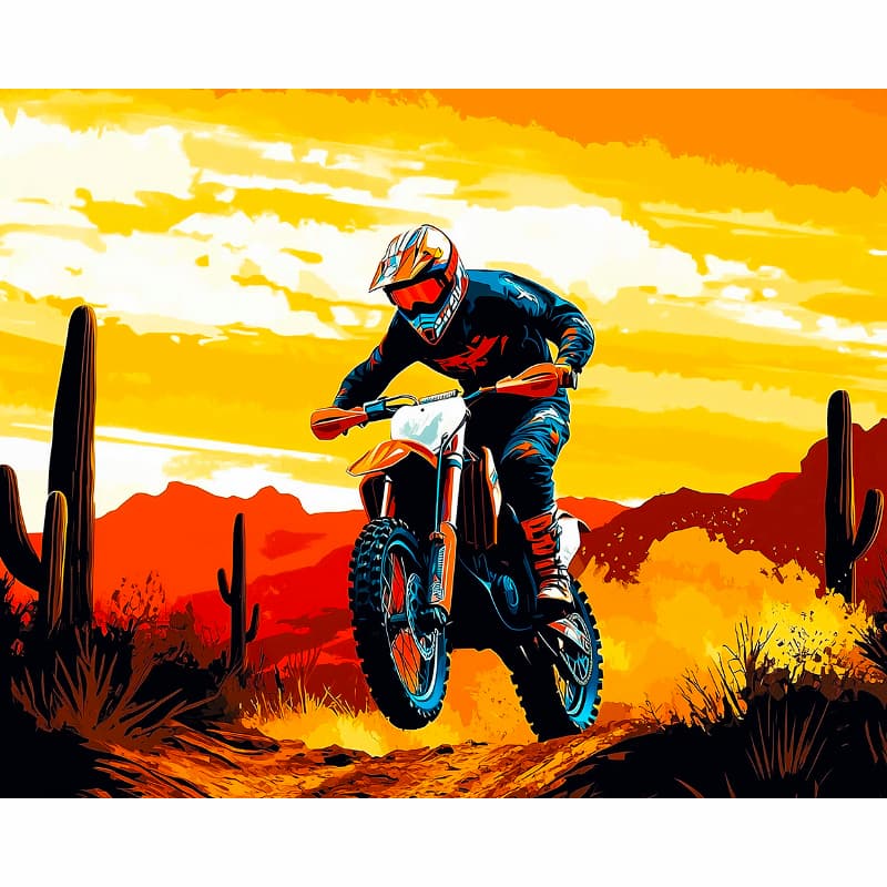 Motorcyclist on a dirt bike in a desert landscape with cacti and a sunset sky.