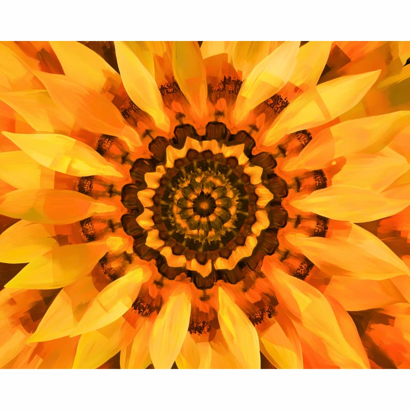 Mandala design created from a sunflower with concentric circles of petals.