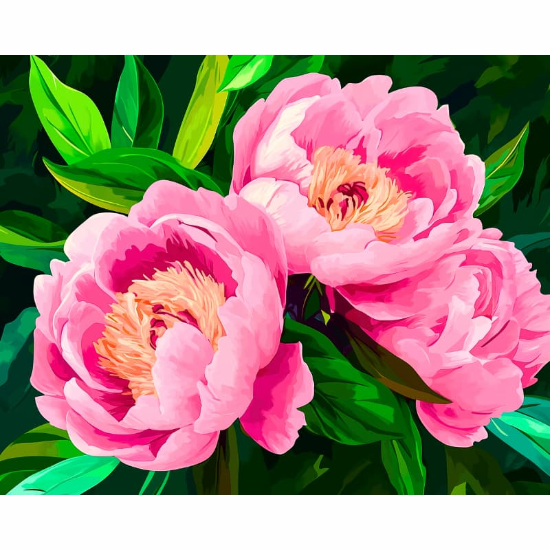 Two pink peonies with green leaves on a dark background